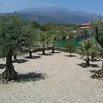 Le Palme Tra Taormina E Catania *