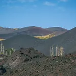 Casa vacanze Le Palme Tra Taormina E Catania