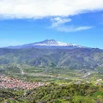 Le Palme Tra Taormina E Catania Linera