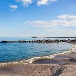 Le Palme Tra Taormina E Catania