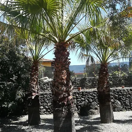 別荘 Le Palme Tra Taormina E Catania Linera