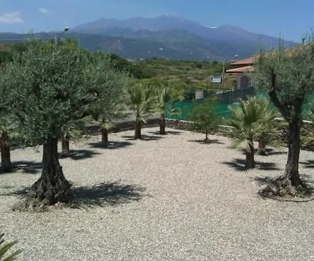 Le Palme Tra Taormina E Catania *