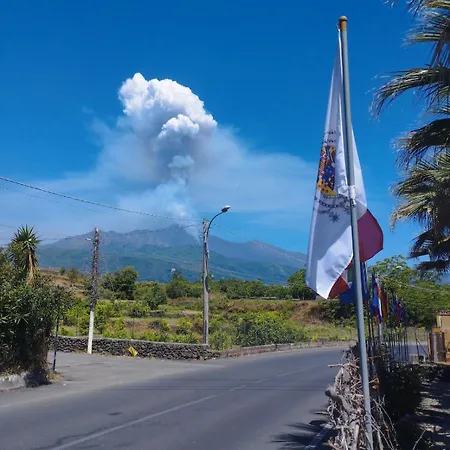Le Palme Tra Taormina E Catania Linera