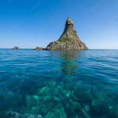 Le Palme Tra Taormina E Catania *